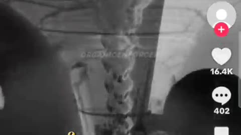 The Bells & Healing Frequencies