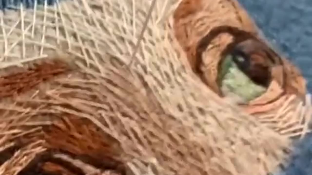 👁️ Jean Jacket Eye Embroidery 👕 | Creepy Craft ASMR