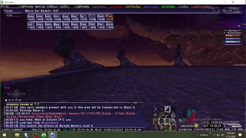 Playing Final Fantasy XI Online