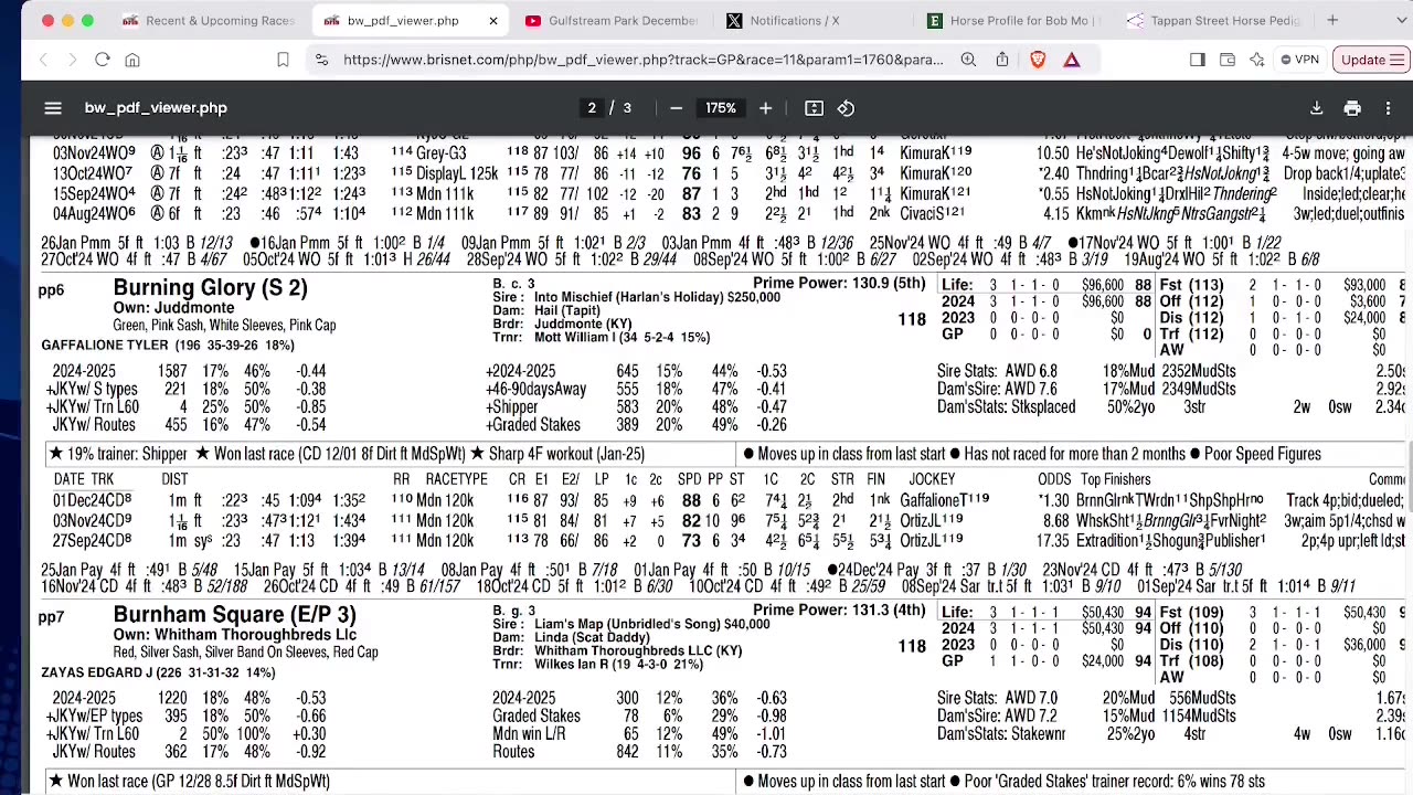 Capping Corner - Withers, Holy Bull and Robert B. Lewis Stakes 2025 - Derby 2025 Points Race