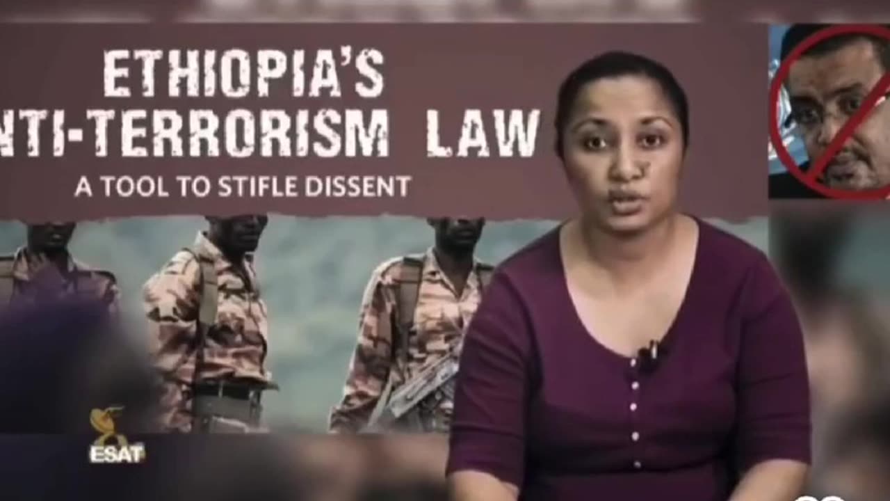 WHO facts and who are they