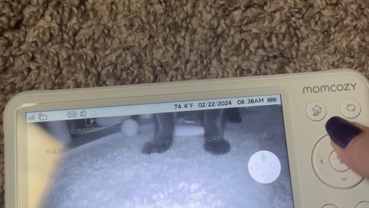 Cat Helps Test New Monitor