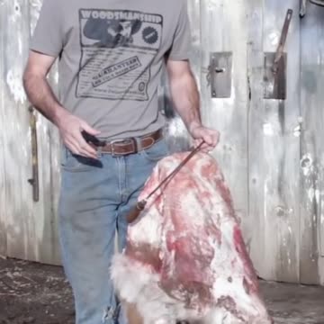 Clay Hayes Hide Tips #clayhayes #hide #survival #skills