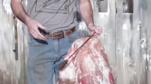 Clay Hayes Hide Tips #clayhayes #hide #survival #skills
