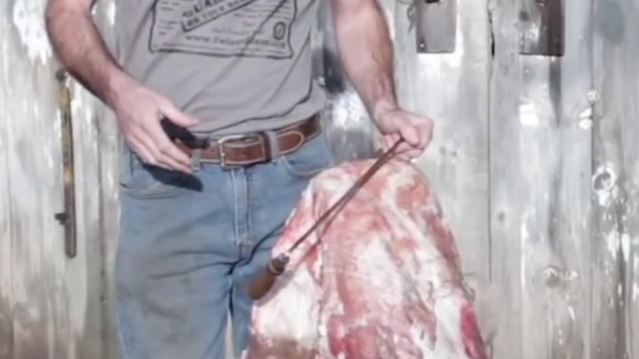 Clay Hayes Hide Tips #clayhayes #hide #survival #skills