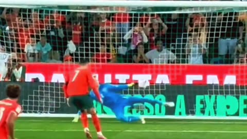 Portugal vs Ireland ⚽ Ronaldo Penalty Moment