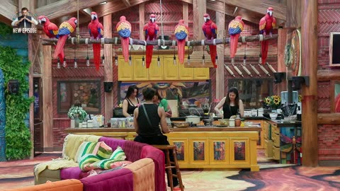 BigBoss 19E9