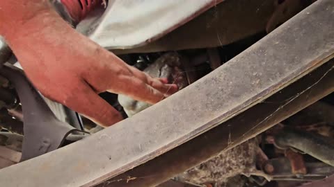 Honda Beat PP1 Starter Location