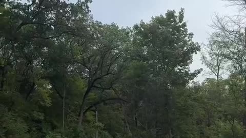 Slavery wasn't abolished, it was transformed (Read Description)