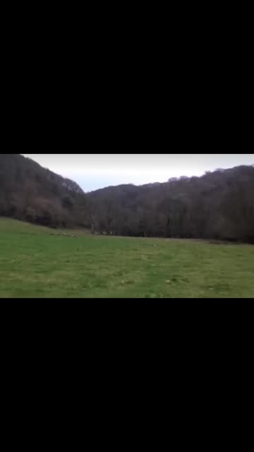 WHERE DID THEY GO??? 😱 #4u #foryou #fypシ゚viral #fyp