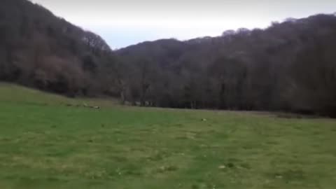 WHERE DID THEY GO??? 😱 #4u #foryou #fypシ゚viral #fyp