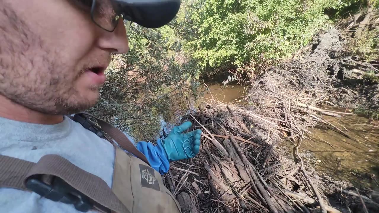 September 4,5 2025 - Emergency Beaver job & First Check