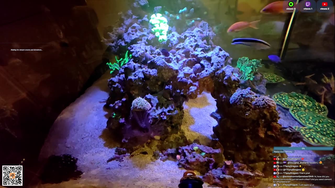 24/7 Real Live Reef Stream