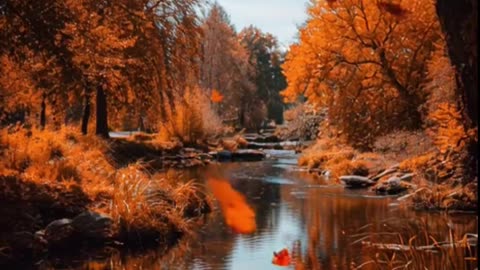 Be Unrecognizable in a Year