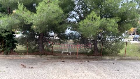 Car plunges into municipal pool in southern France