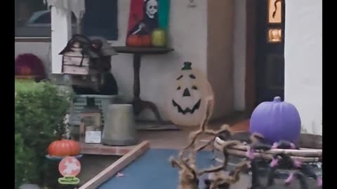 Silicon Valley, Guess Who Is Served!