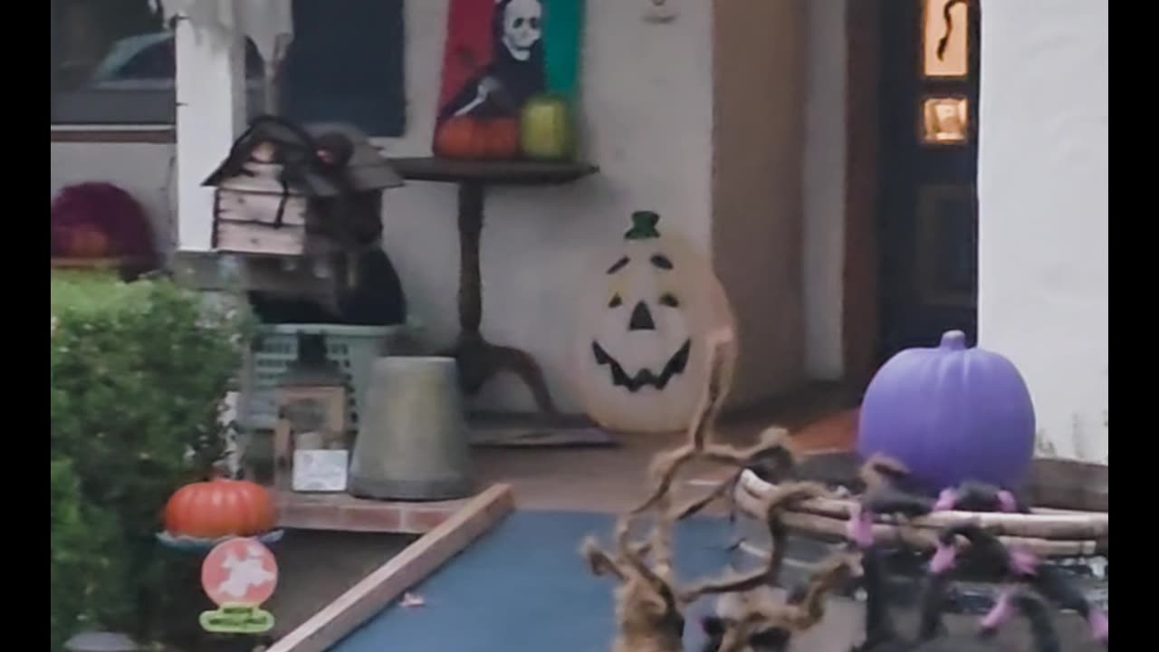 Silicon Valley, Guess Who Is Served!