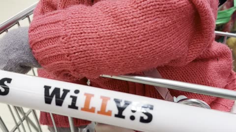 Grocery Shopping with Mommy — Baby Kayla in the Cart 🛒🥔
