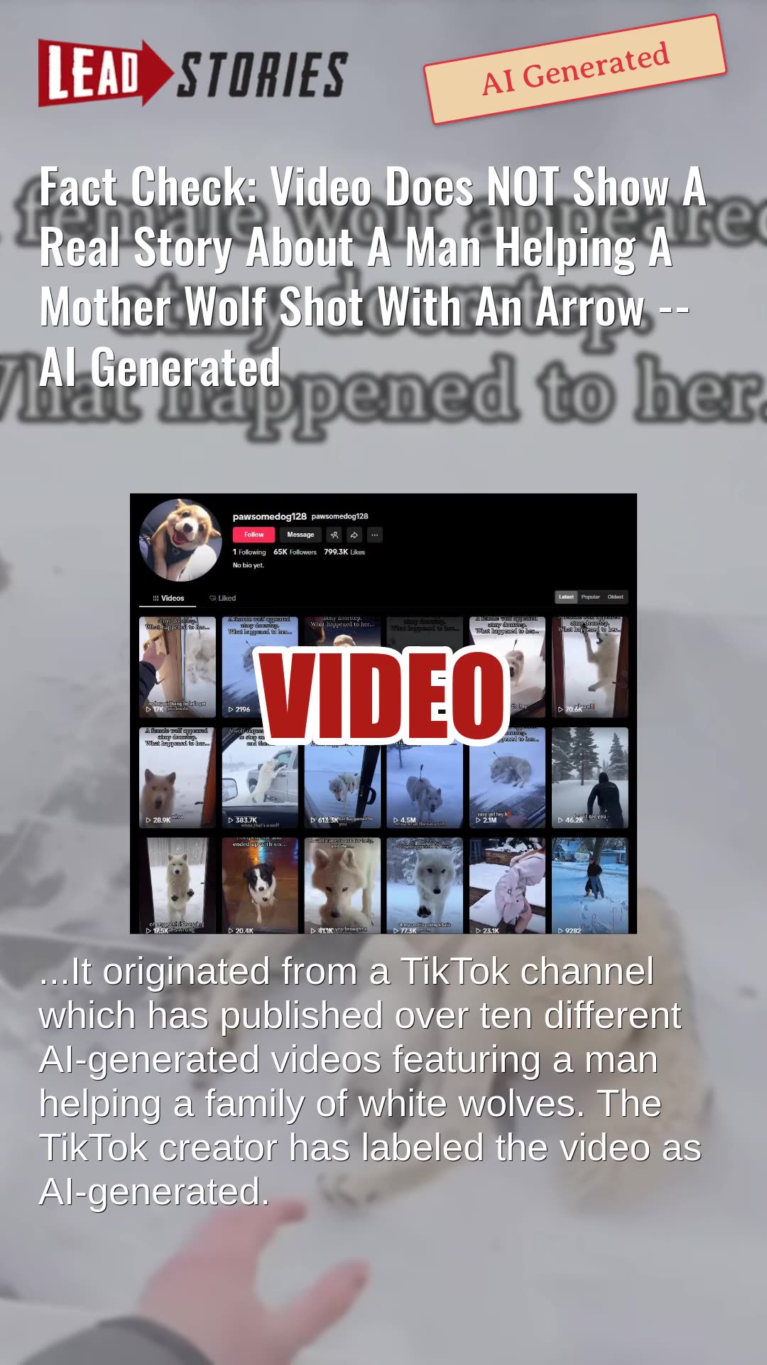 Fact Check: Video Does NOT Show Real Story About Man Helping Mother Wolf Shot With Arrow -- AI