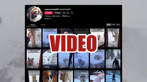 Fact Check: Video Does NOT Show Real Story About Man Helping Mother Wolf Shot With Arrow -- AI