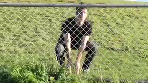 Funny Animal Fails