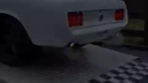 Epic Smooth Muscle Car Revealed from Enclosed Trailer!