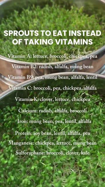 vitamins in Sprouts