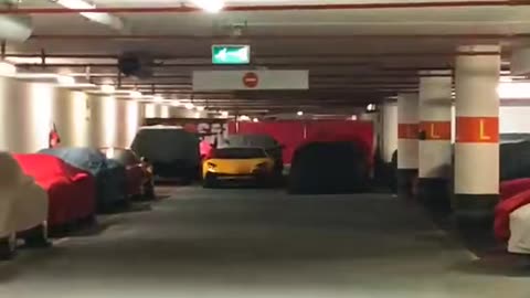 🤔💎 How Many Cars Do You Own? Let's Discuss! | LuxurySportsCars