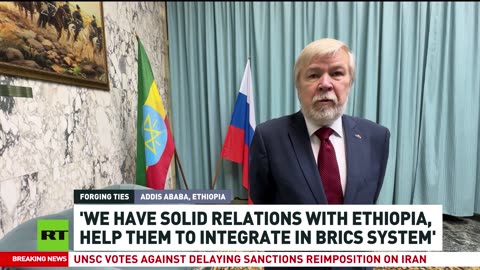 'We help Ethiopia to integrate in BRICS system' — Evgeny Terekhin 