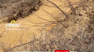 VIEWS FROM A BLUFF! BE CAREFUL!