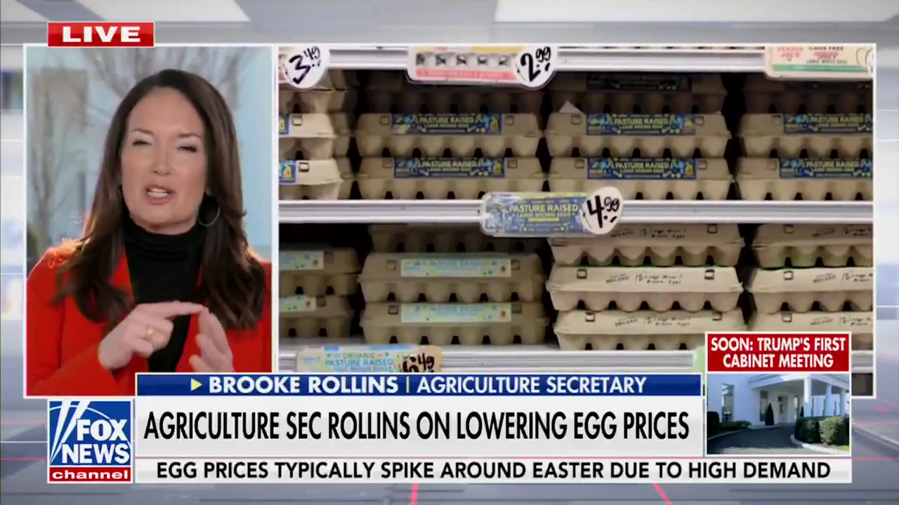 Sec Rollins: The Agriculture Department will invest up to $1 billion to make eggs affordable again.