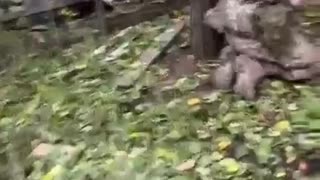 🚁🔥 Ukraine Russia War | Ukrainian Soldiers Rescuing Woman in Destroyed House | RCF