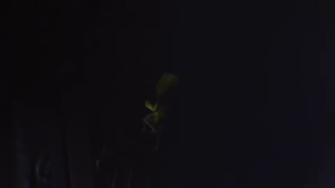 We Playin Little NightMares Part 2