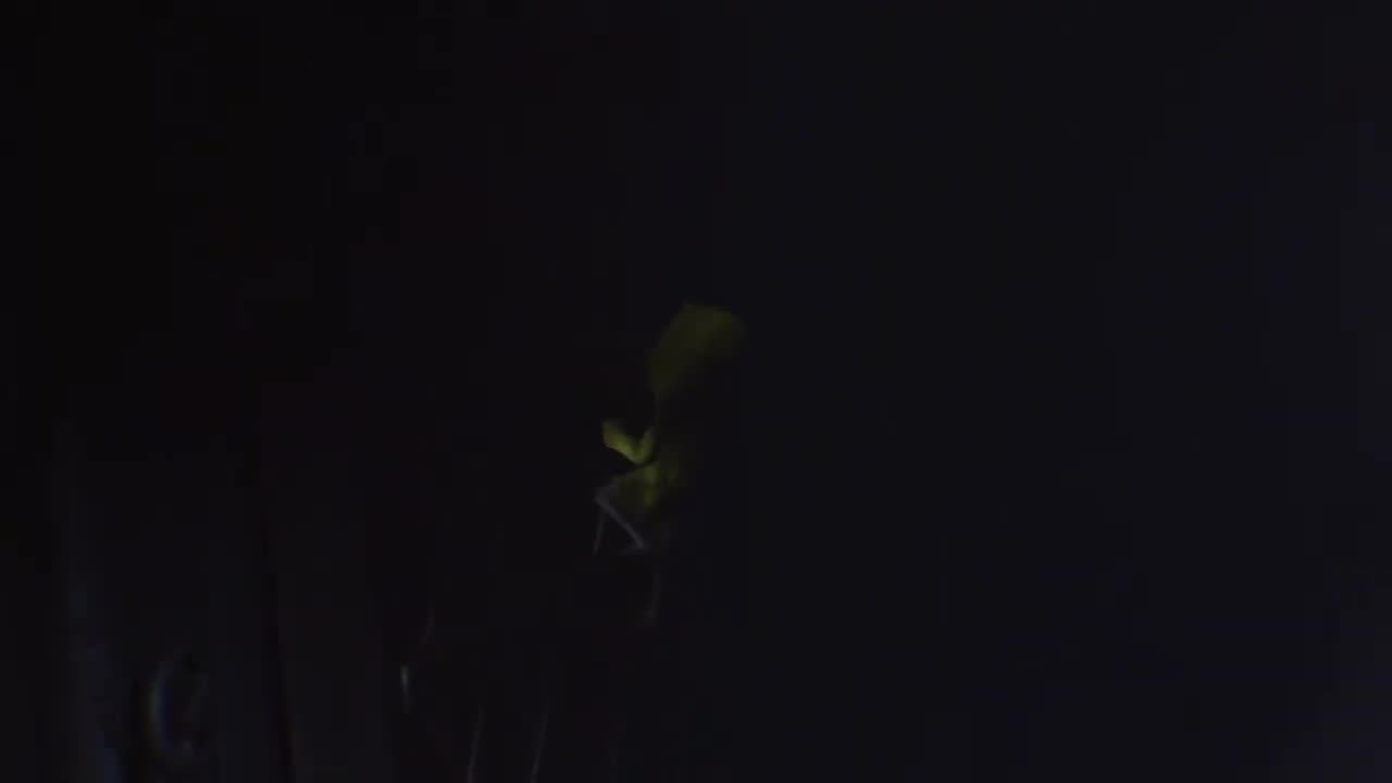 We Playin Little NightMares Part 2
