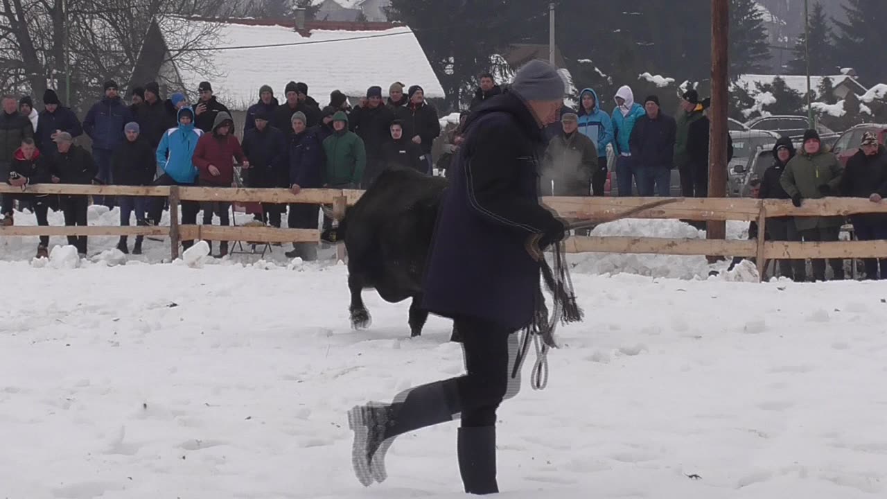 Garći od Štrbca vs Garonja od Tunjića Vitez 2024