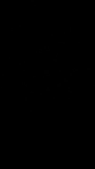 Algorithmically challenged