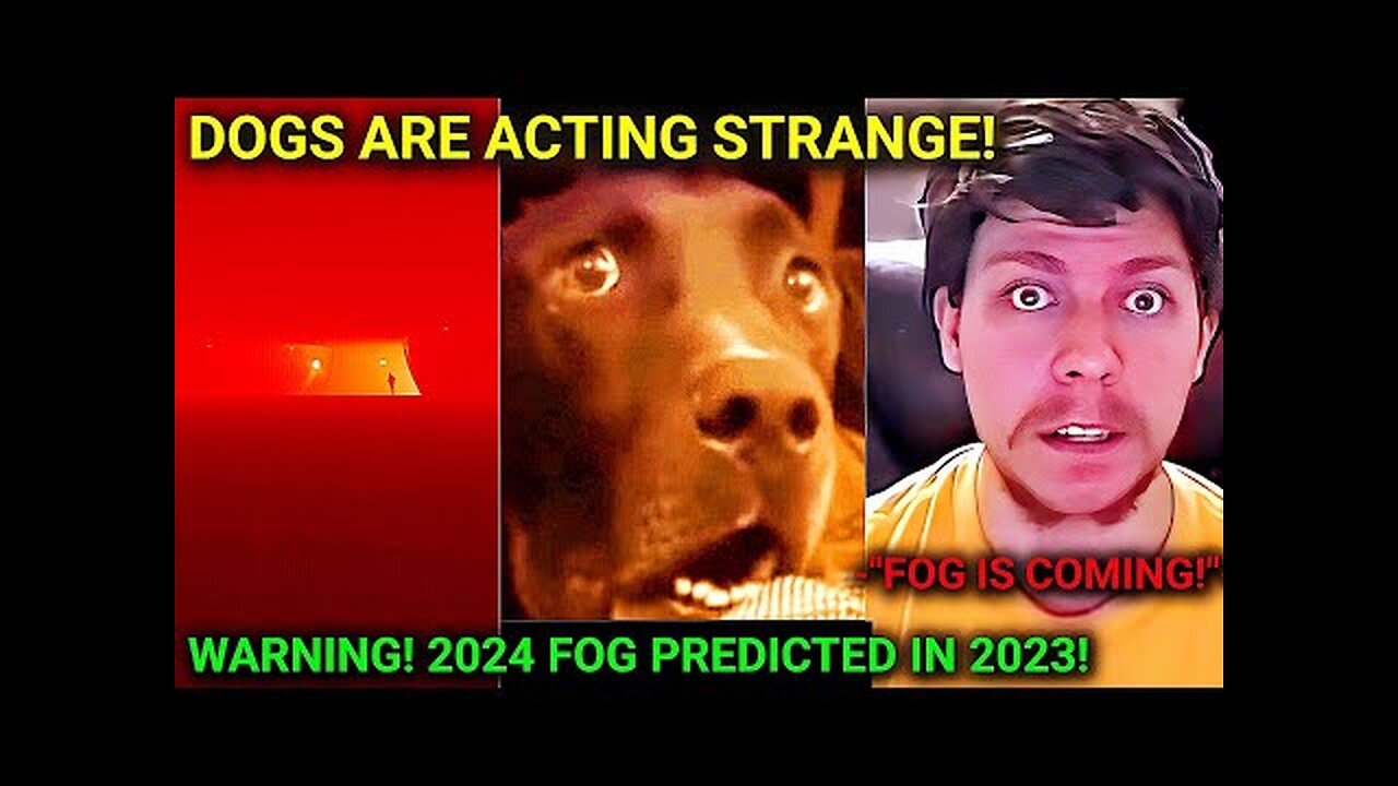 This Disturbing Fog Is Causing Me To Lose Sleep!! - MinutesOfHorror