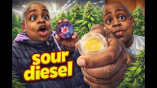 SOUR DIESEL concentrates JK DISTRO