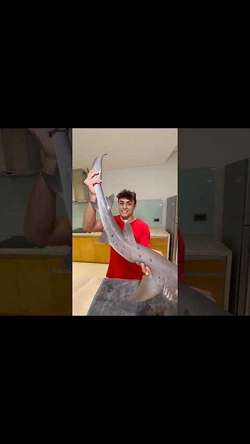 Cooking MASSIVE Shark