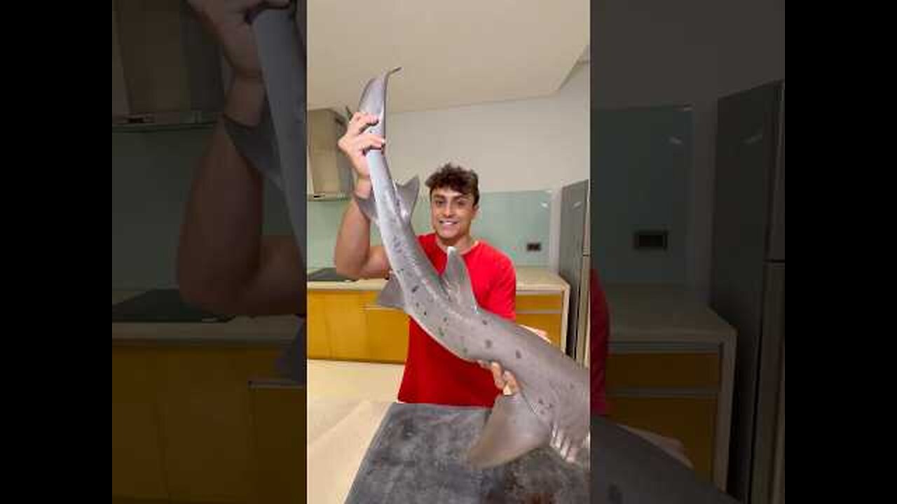 Cooking MASSIVE Shark