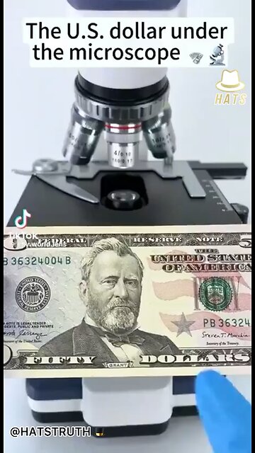 US DOLAR UNDER THE MIKROSKOPE Subscribe to @HATSTRUTH 🎩
