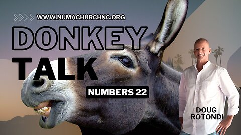 Donkey Talk by Doug Rotondi