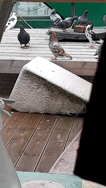 20251004. God Is Love.