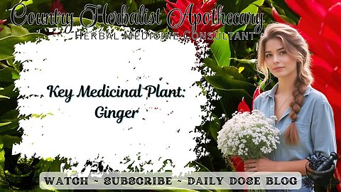 Key Medicinal Plant: Ginger: The Horn-Shaped Rhizome of Warmth and Wellness