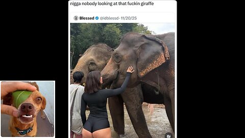 Memes That Will 99.0598% Make You Laugh. (e822)