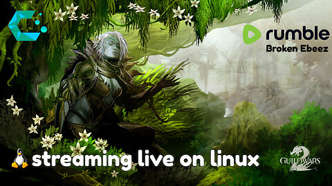 Guild Wars 2 NEW Player Ep 01