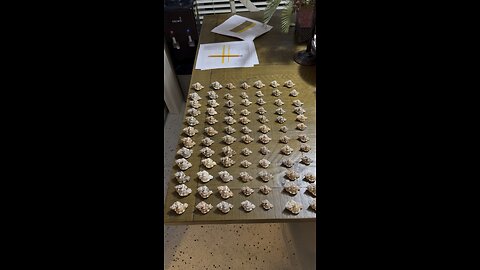 Inventory Spotlight | Prime Apple Murex! | 4K