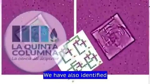 La..Quinta..Columna..'We..Have..Found...'