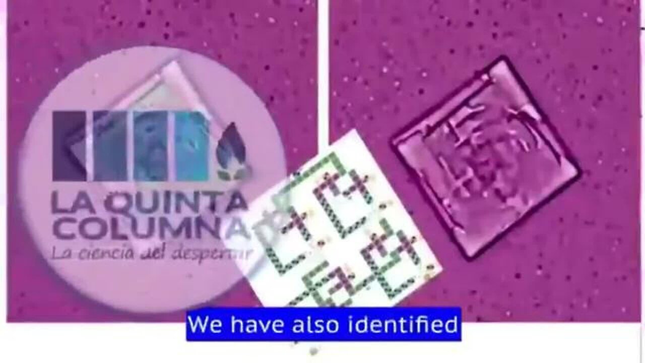 La..Quinta..Columna..'We..Have..Found...'