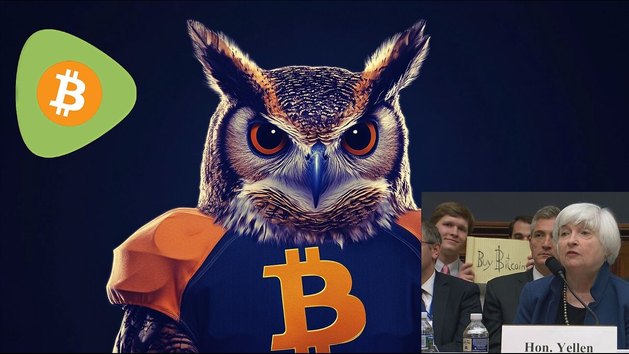 The Real Superb Owl Started With Bitcoin Sign Guy, ep 15